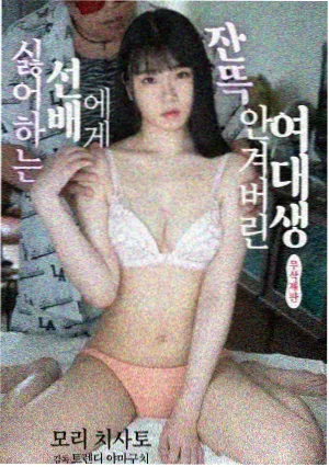 高清影视大全 电视剧